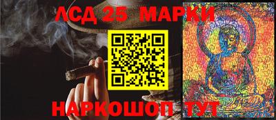 соль ск Новодвинск