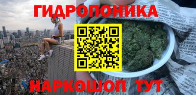 соль ск Новодвинск
